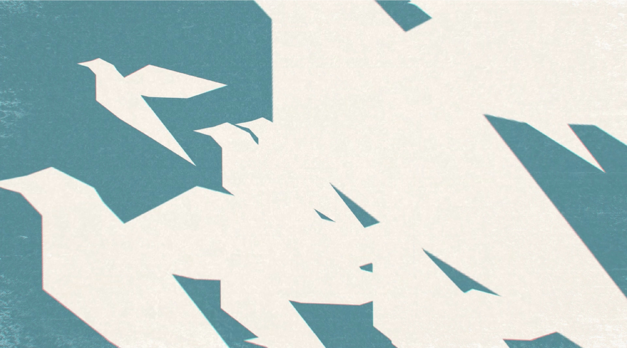 Flying birds illustration representing freedom and solidarity
